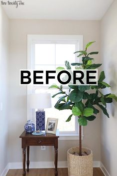 a houseplant with the words before in front of it