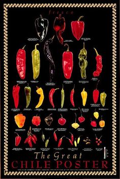 the great chileposter poster with chilis and peppers in red, yellow and green