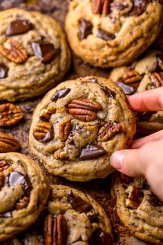 chocolate chip cookies with pecans in the middle