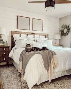 a cat laying on top of a bed in a bedroom