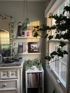 a kitchen with plants hanging from the ceiling and various records on shelves in front of it