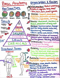 a hand drawn diagram with words and diagrams on it