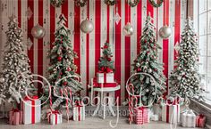 christmas trees and presents in front of a striped wallpapered room with red and white stripes