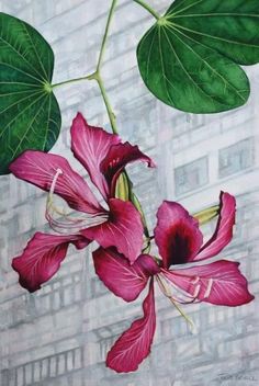 a painting of pink flowers and green leaves on a white background with buildings in the background