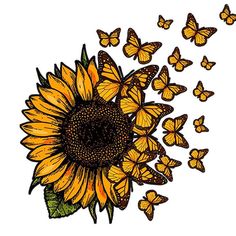 a sunflower with many butterflies flying around it