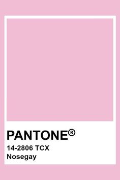 the pantone color is shown in pink