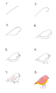 how to draw birds step by step for kids and beginners in easy steps with pictures