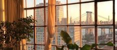 a window with some plants in it and a view of the brooklyn bridge from across the room