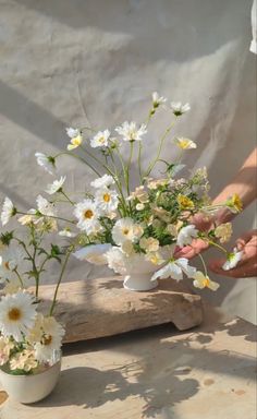 two vases filled with white and yellow flowers on top of a wooden table next to a piece of driftwood