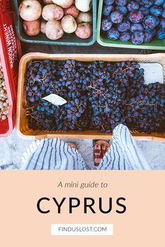 a person standing in front of trays filled with grapes and apples, text reads a mini guide to cyprus