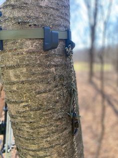 a bike is chained to a tree in the woods