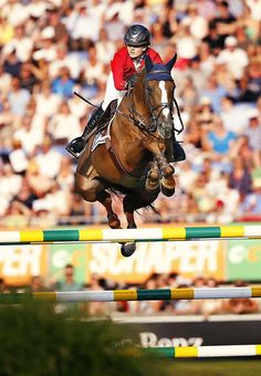 a person on a horse jumping over an obstacle in front of a crowd with spectators