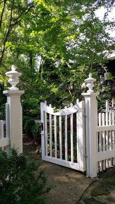 a white picket fence in front of some trees