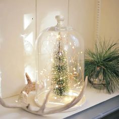 a christmas tree under a glass clochet with white lights and antlers in it