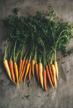 there are many carrots that have been picked from the ground and placed on top of each other