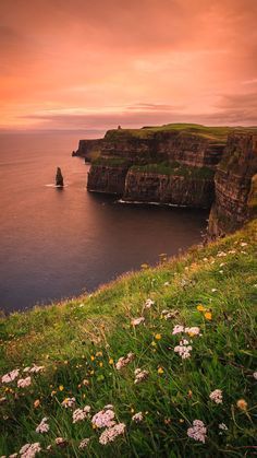 the sun is setting over an ocean with cliffs in the distance and flowers growing on the grass