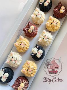 cupcakes in the shape of animals with icing on them