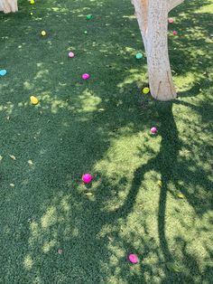 the grass is covered with colored balls in front of a large tree and some trees