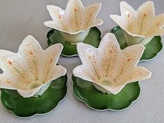 four white flowers sitting on top of green leaves