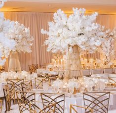 the tables are decorated with white flowers and gold vases for centerpieces at this wedding reception