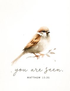 a watercolor painting of a bird on a branch with the words you are seen