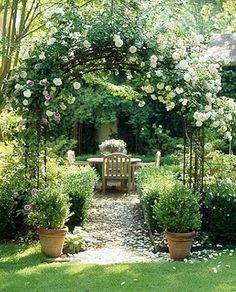 a garden with lots of flowers and trees