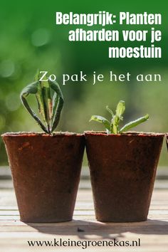 Afharden doe je zo, een essentiële stap voor je moestuin