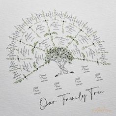 Olive Family Tree Medium Digital Family Tree Template MyGeneTree Family Tree Templates, Family Tree Painting, Text Artwork, Family Tree Art, Family Tree Project, Custom Family Tree, Family Tree Genealogy, Family Story, Family Tree Template