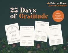 the 25 days of gratitude is on display in front of christmas decorations