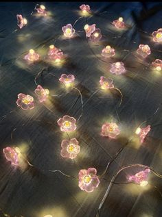 pink flowers are lit up with fairy lights