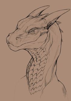 Pin de April DeBry en Dragons | Dragones, Dibujo de dragón, Arte de dragón Dragon Sketch, Dragon Statue, Creature Drawings, Dragon Head, Dragon Artwork, Mythical Creatures Art, Dragon Drawing, Pencil Art Drawings, Creature Concept Art