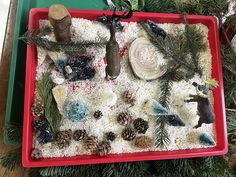 a red tray filled with pine cones and other decorations