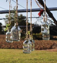 four glass bottles hanging from a tree branch