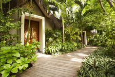 a wooden walkway leading to a house surrounded by trees and plants on both sides of the building