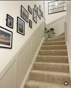 a staircase with pictures on the wall and carpeted steps leading up to another set of stairs