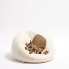 a cat is laying in a pet bed