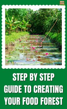 a green cover with the words, step by step guide to creating your food forest