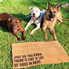 three dogs laying in the grass next to a sign that says, just so you know there's like a lot of dogs in here