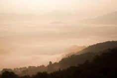 the sun shines through the foggy mountainside with trees in the foreground