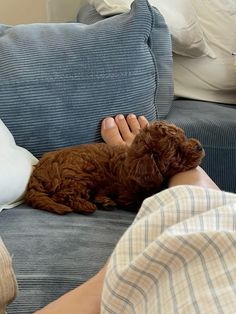 a man laying on top of a couch next to a brown dog with his head on the pillow