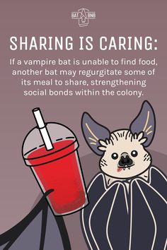 a cartoon character holding a drink with the caption sharing is caring if vampire bats unable to find food, another bat may regrigate some