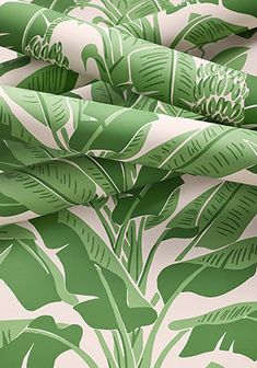 green and white wallpaper with large leaves on it's sides, in an abstract pattern