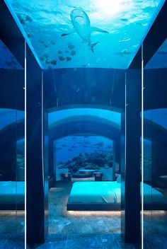 an underwater bedroom is lit up with blue lights