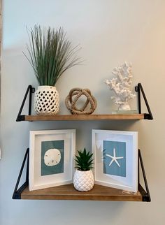 two shelves with pictures and plants on them