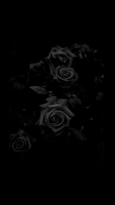 black and white photograph of roses in the dark