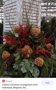 a potted plant with red berries and pine cones in it's centerpiece