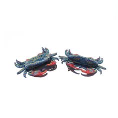 two blue crabs sitting on top of each other in front of a white background,