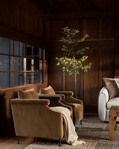 a living room with couches, chairs and a tree in the middle of it