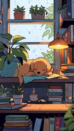 a dog is sleeping in the window sill next to some books and potted plants