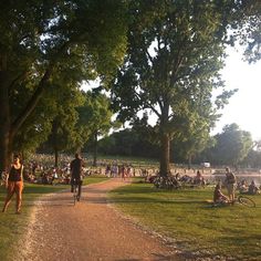 people are sitting and walking on the grass near trees